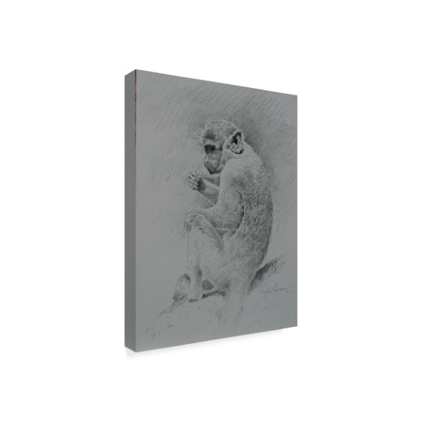 Michael Jackson 'Monkey Sketch' Canvas Art,18x24